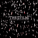 The Stills : Logic Will Break Your Heart